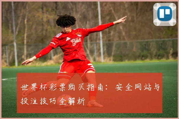 世界杯彩票购买指南：安全网站与投注技巧全解析