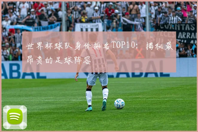 世界杯球队身价排名TOP10：揭秘最昂贵的足球阵容