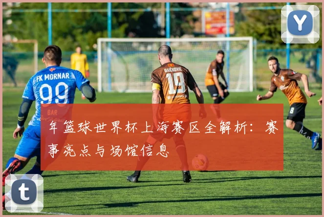 年篮球世界杯上海赛区全解析：赛事亮点与场馆信息