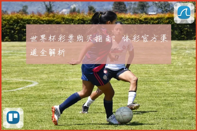 世界杯彩票购买指南：体彩官方渠道全解析