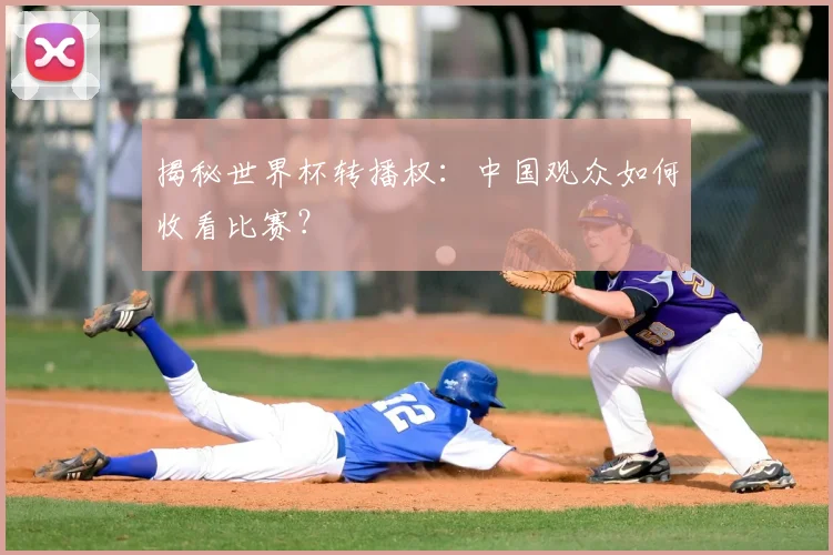 揭秘世界杯转播权：中国观众如何收看比赛？