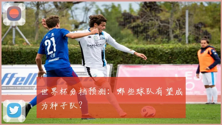 世界杯分档预测：哪些球队有望成为种子队？
